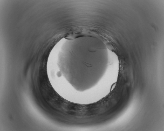 X0000113110143200909251100