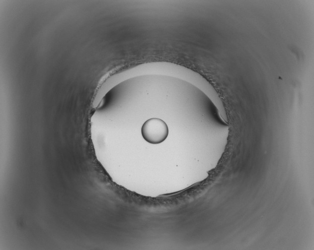 X0000113110144200909251100