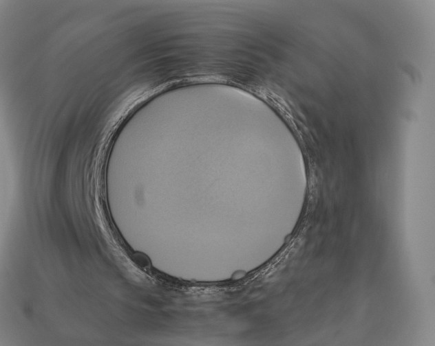 X0000113110145200909251059