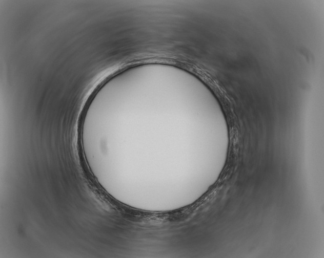 X0000113110148200909251059