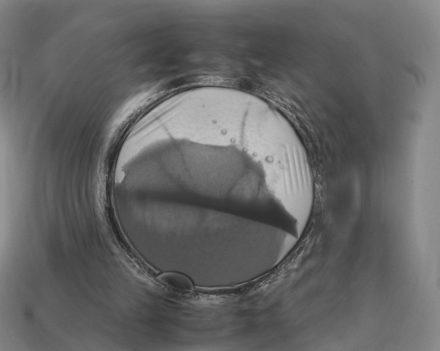 X0000113110149200909251059