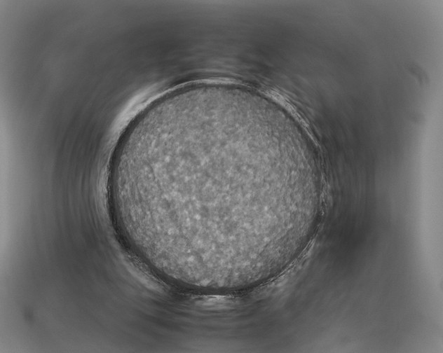 X0000113110151200909251059