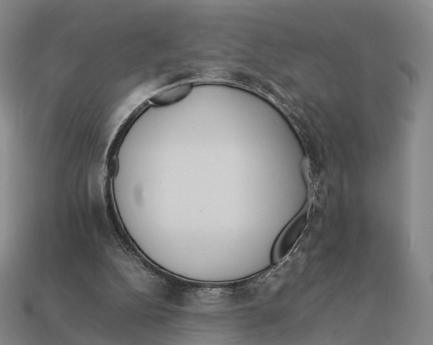 X0000113110152200909251059