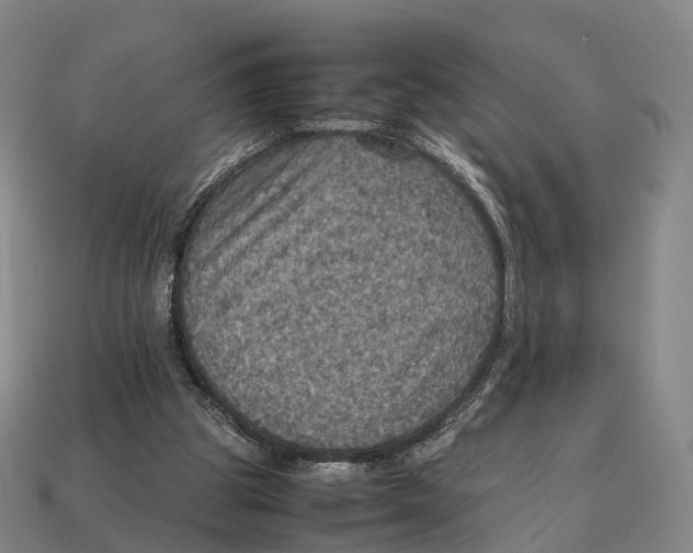 X0000113110153200909251059