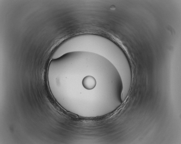 X0000113110154200909251059