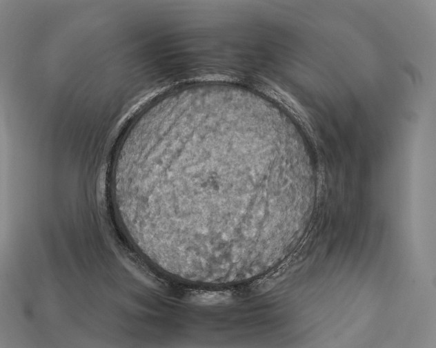 X0000113110155200909251059
