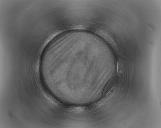 X0000113110156200909251059