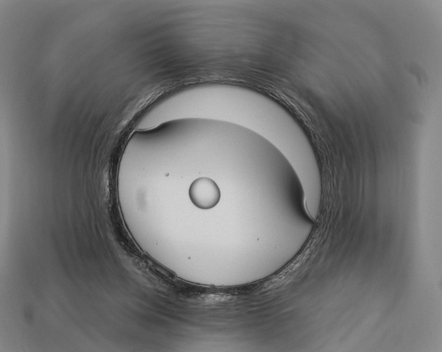 X0000113110158200909251059