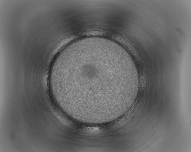 X0000113110159200909251059