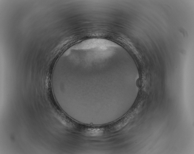 X0000113110161200909251059