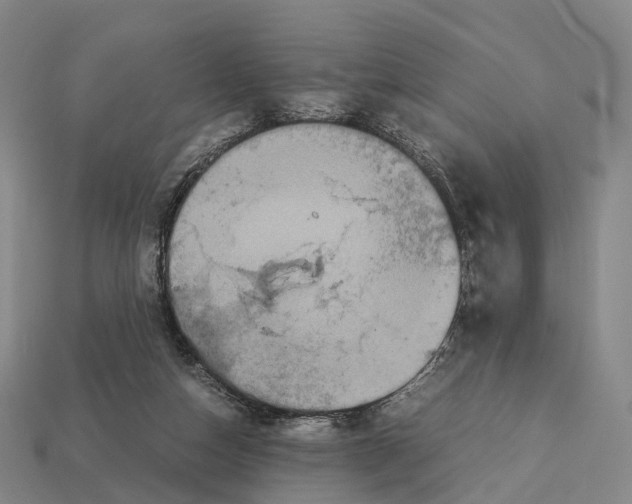 X0000113110162200909251059