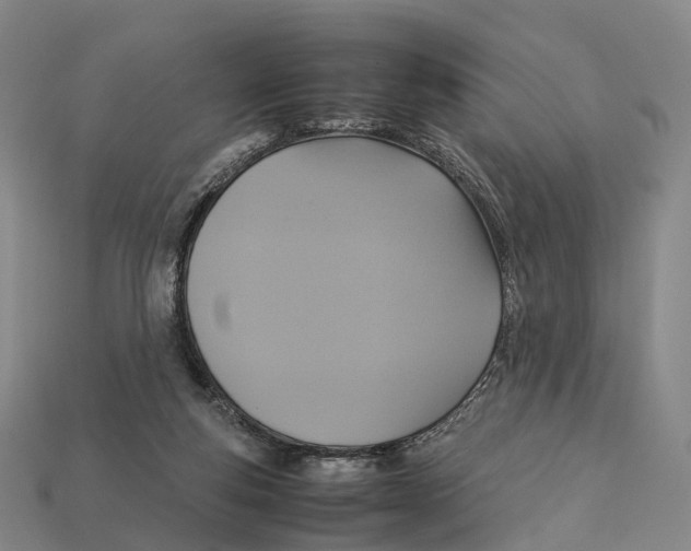 X0000113110163200909251059