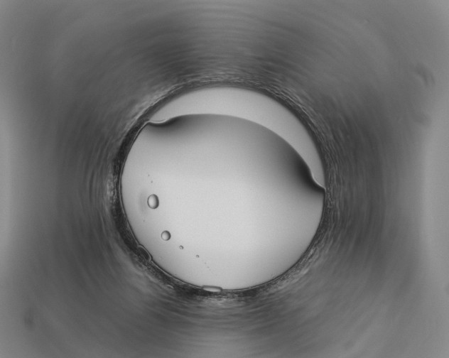 X0000113110164200909251059