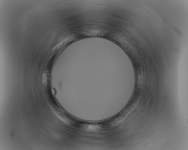 X0000113110165200909251059