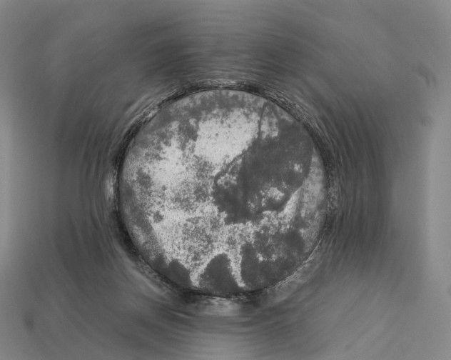X0000113110166200909251059