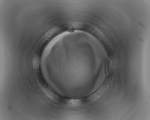 X0000113110168200909251059