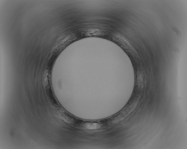 X0000113110169200909251059
