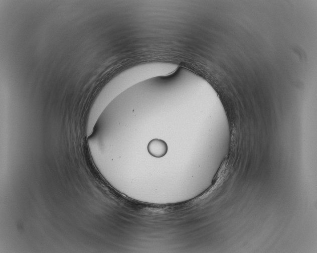 X0000113110170200909251059