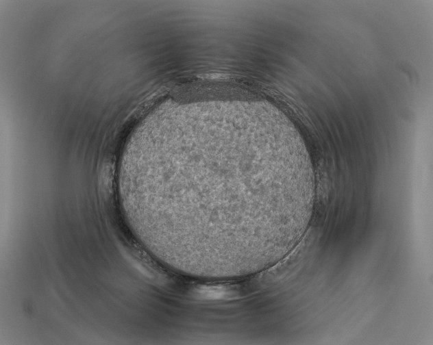 X0000113110171200909251059