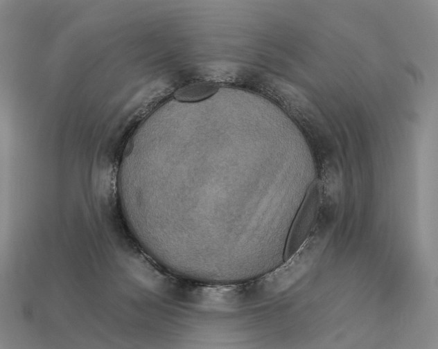 X0000113110172200909251059