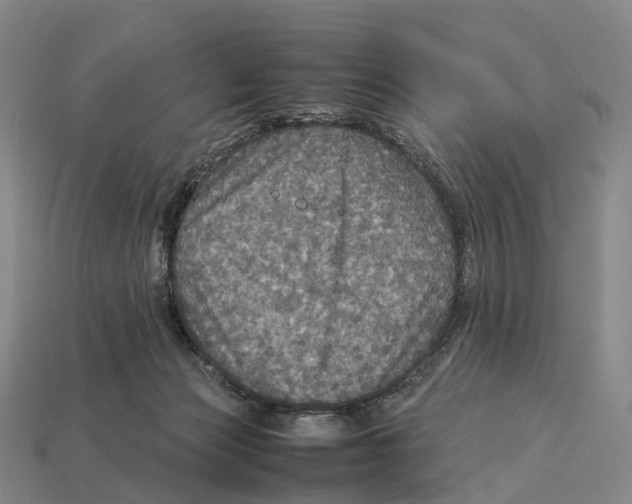 X0000113110173200909251059