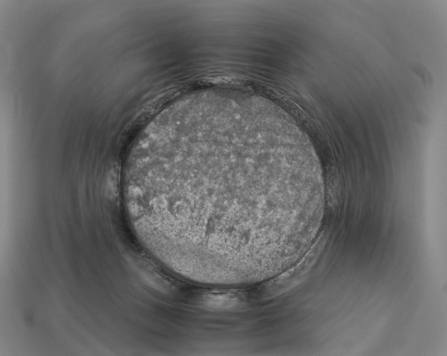 X0000113110175200909251059