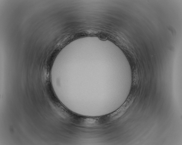 X0000113110176200909251059