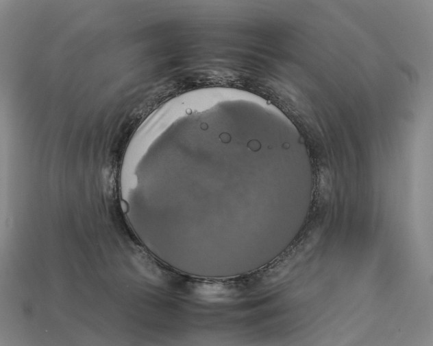 X0000113110177200909251059