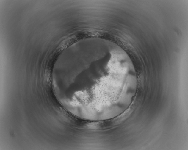 X0000113110178200909251059