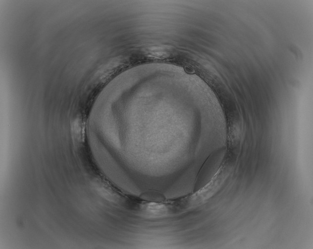 X0000113110180200909251059