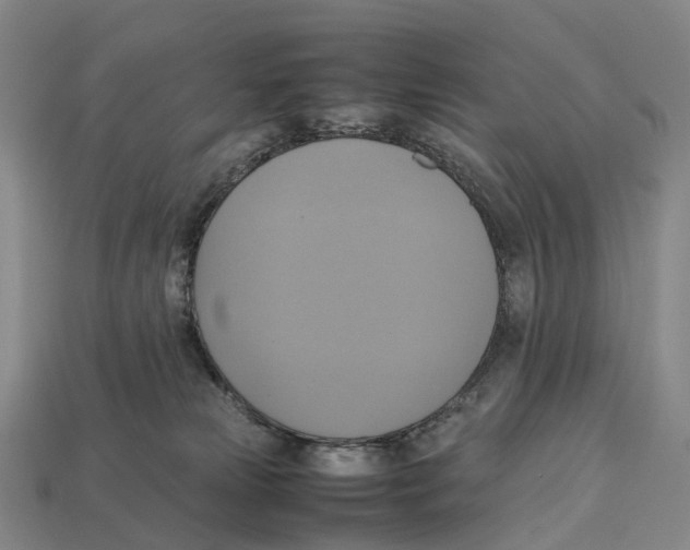 X0000113110181200909251059