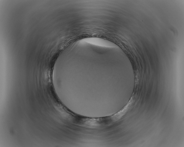 X0000113110182200909251059