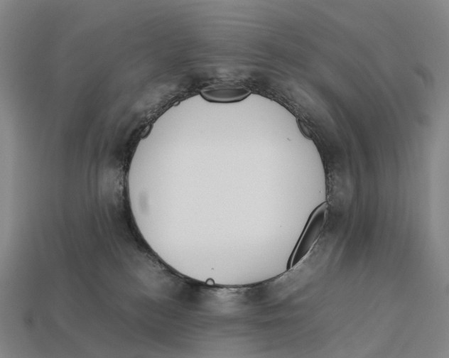 X0000113110184200909251059