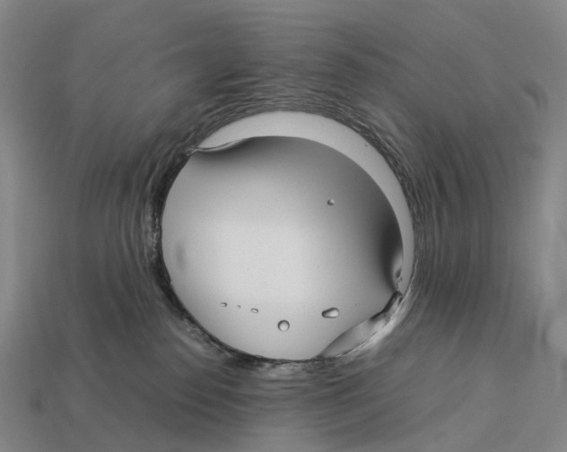 X0000113110186200909251059