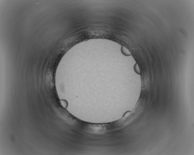 X0000113110187200909251059