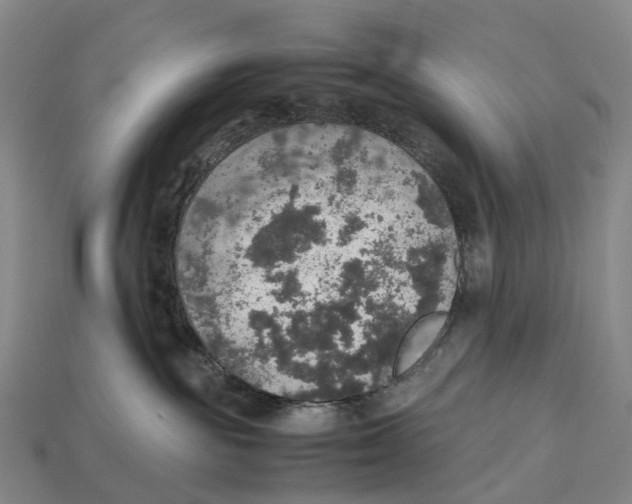 X0000113110189200909251100