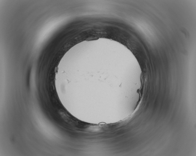 X0000113110190200909251100