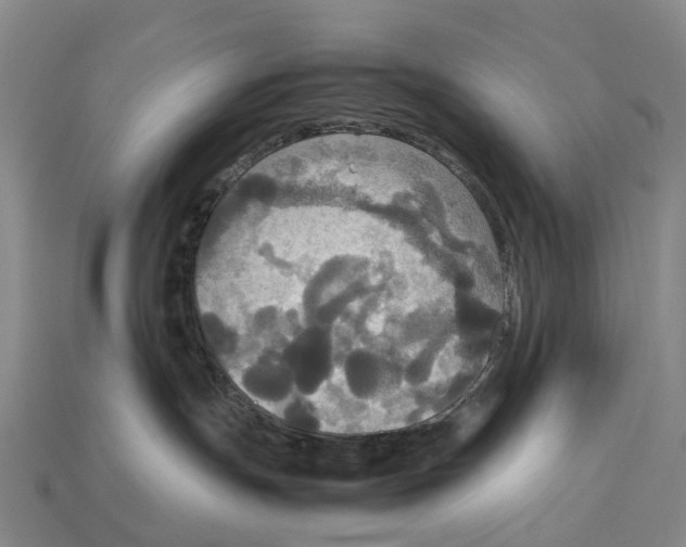 X0000113110191200909251100