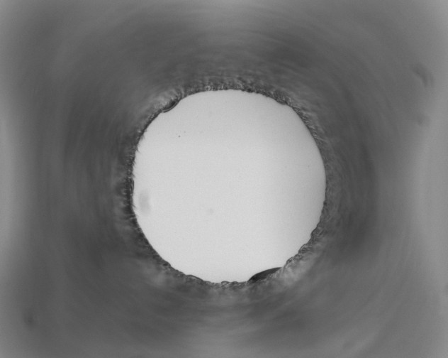X0000113110192200909251100