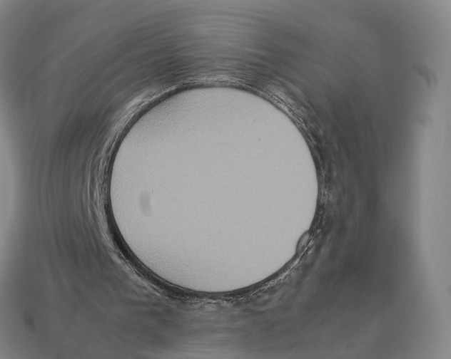 X0000113110193200909251059