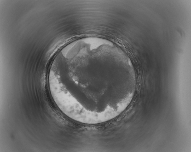 X0000113110194200909251059