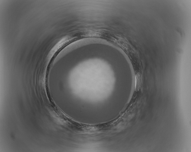 X0000113110195200909251059