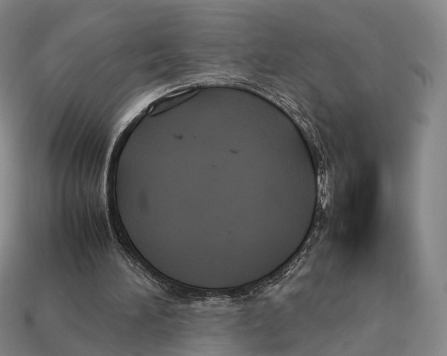 X0000113110196200909251059