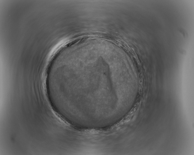 X0000113110197200909251059