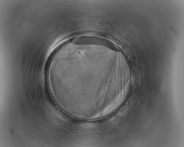 X0000113110198200909251059