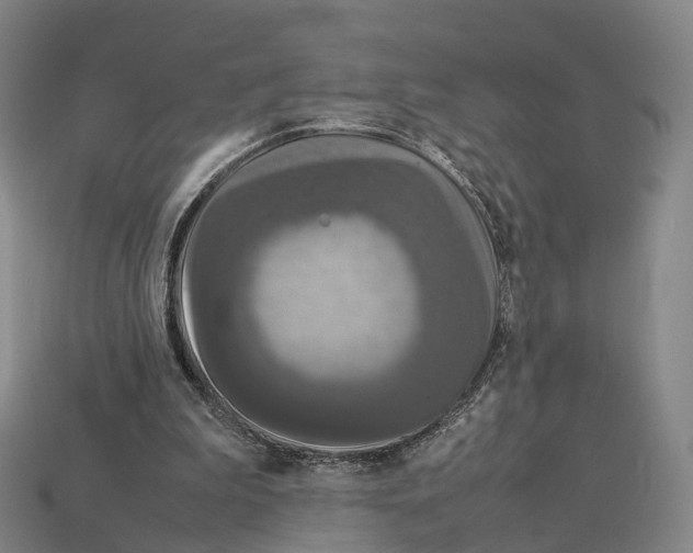 X0000113110199200909251059