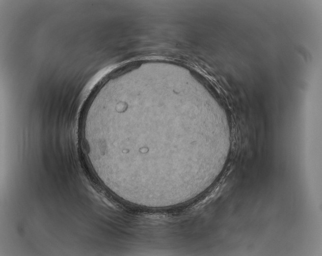 X0000113110200200909251059