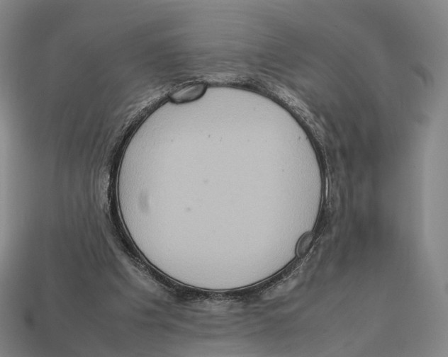 X0000113110201200909251059