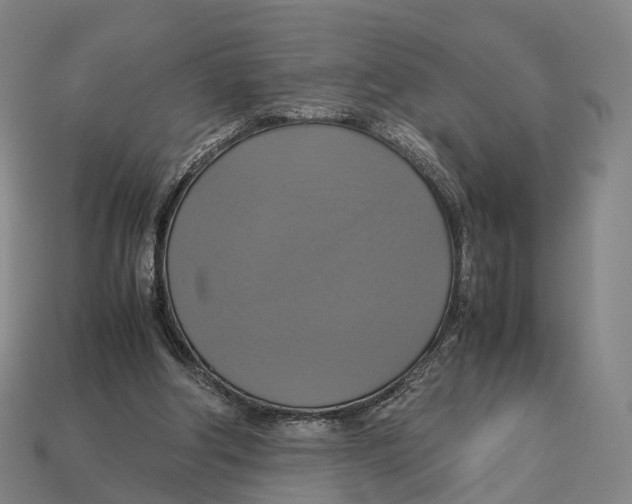 X0000113110202200909251059