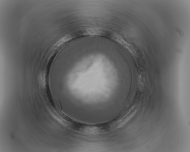 X0000113110203200909251059